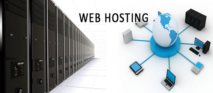 All websites hosted with ComNet IT Solutions Inc. have dedicated bandwidth set aside for their usage.
